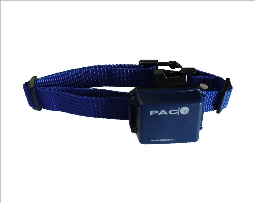 pac training collar
